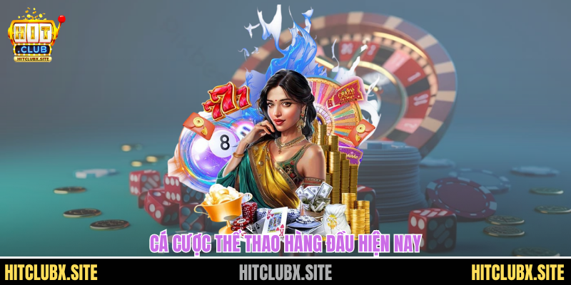 Cá cược thể thao hàng đầu hiện nay